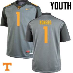 Youth Jonathan Kongbo Gray Tennessee Vols #1 Official Jersey